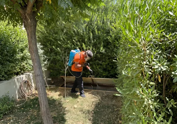 Best Control technician spraying a garden against mosquitoes in Erbil